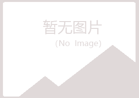 隆昌县字迹工程有限公司